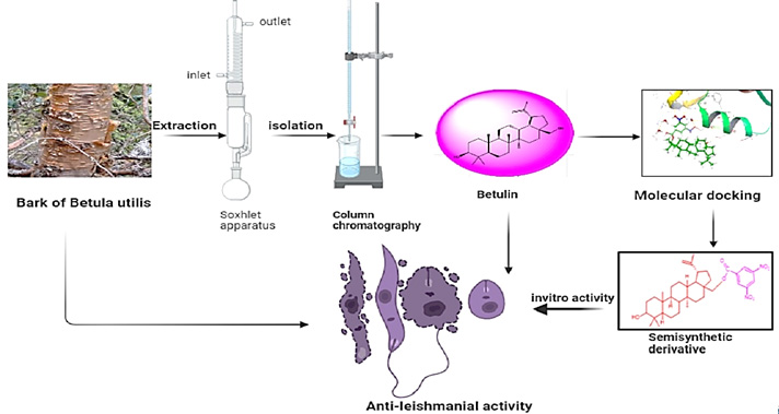 Graphical Abstract